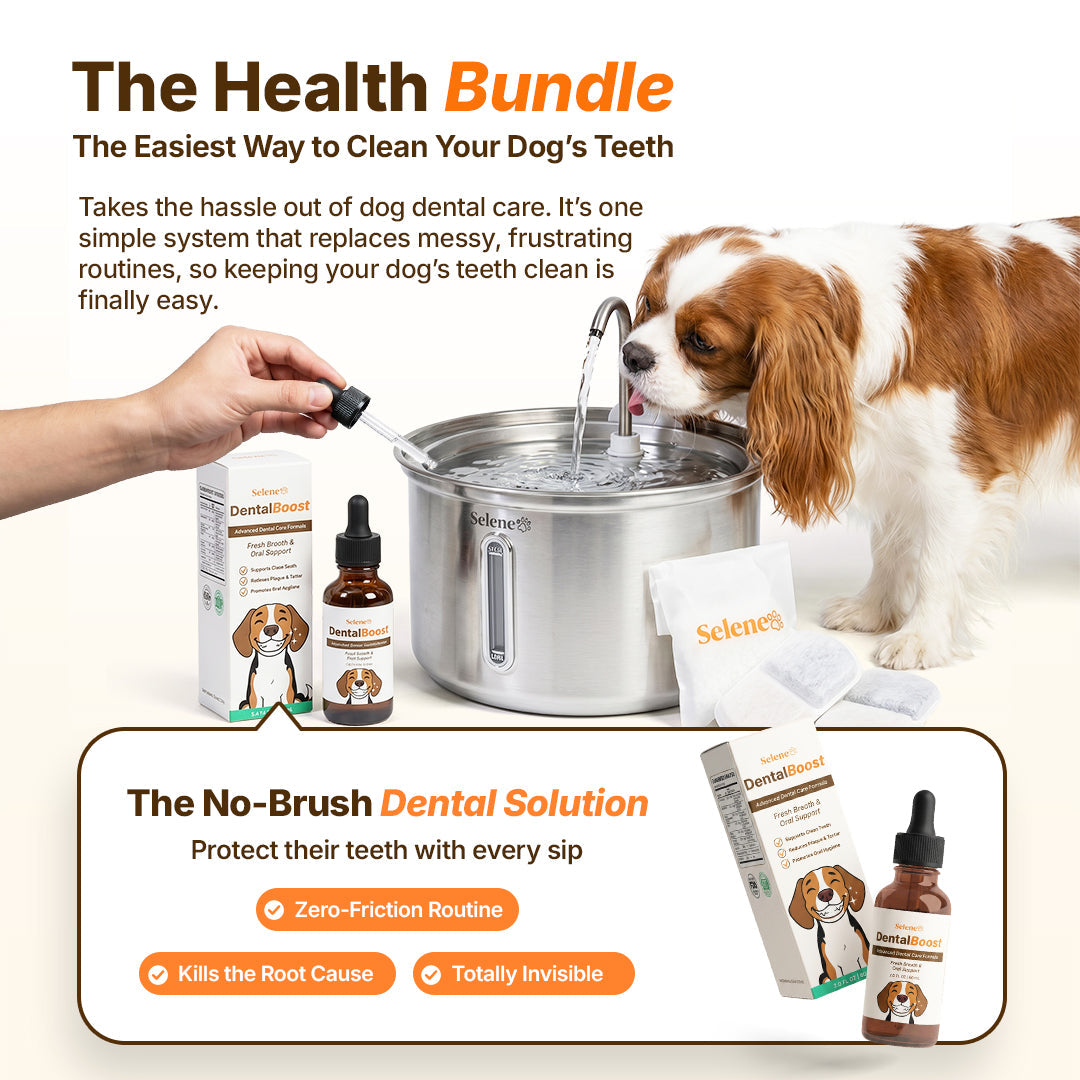 The Doggy Fountain™