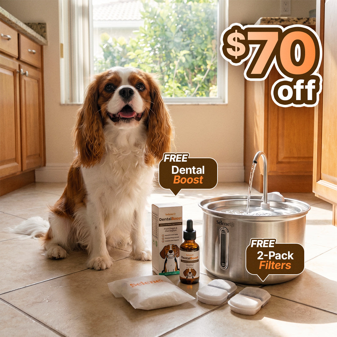 The Doggy Fountain™