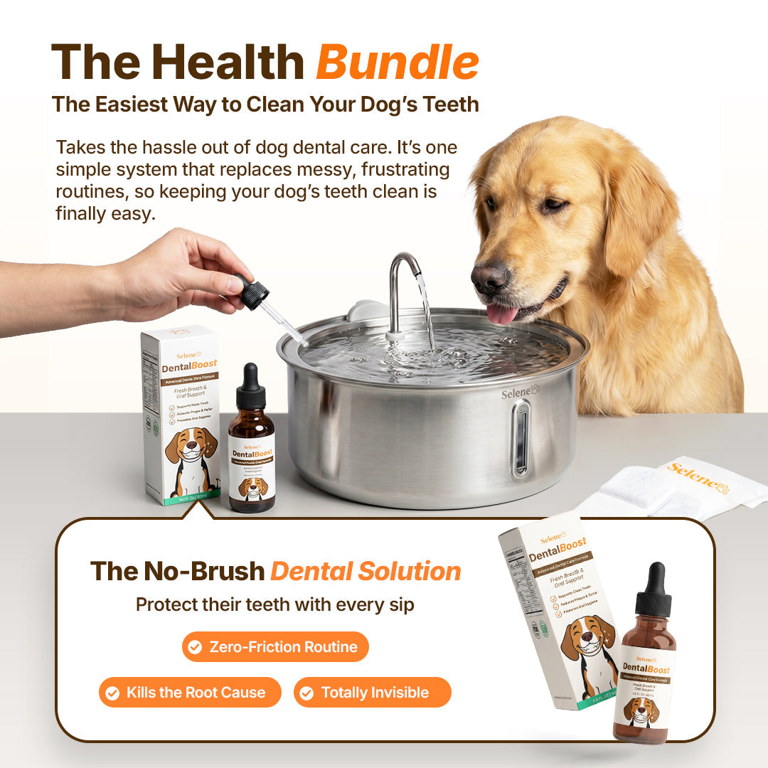 The Doggy Fountain™
