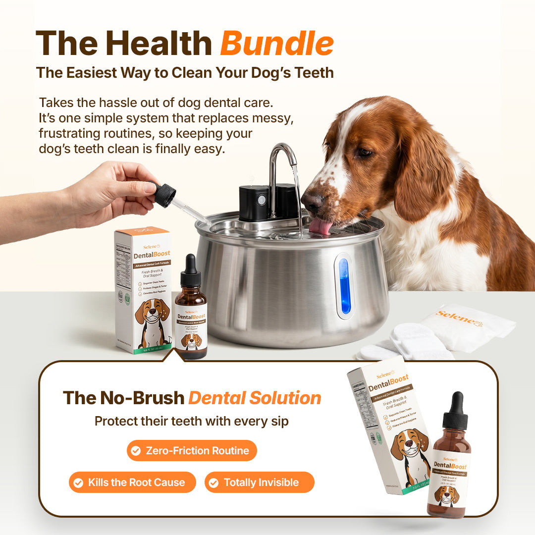 The Doggy Fountain™